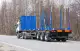 Полуприцеп сортиментовоз Тонар L3 (9445) - высота ССУ 1250